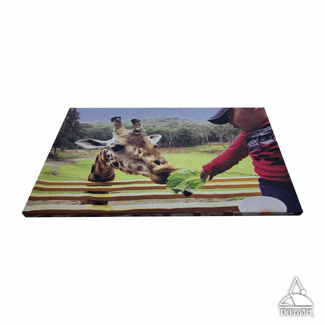 CUADRO PERSONALIZADO DE ANIMALES