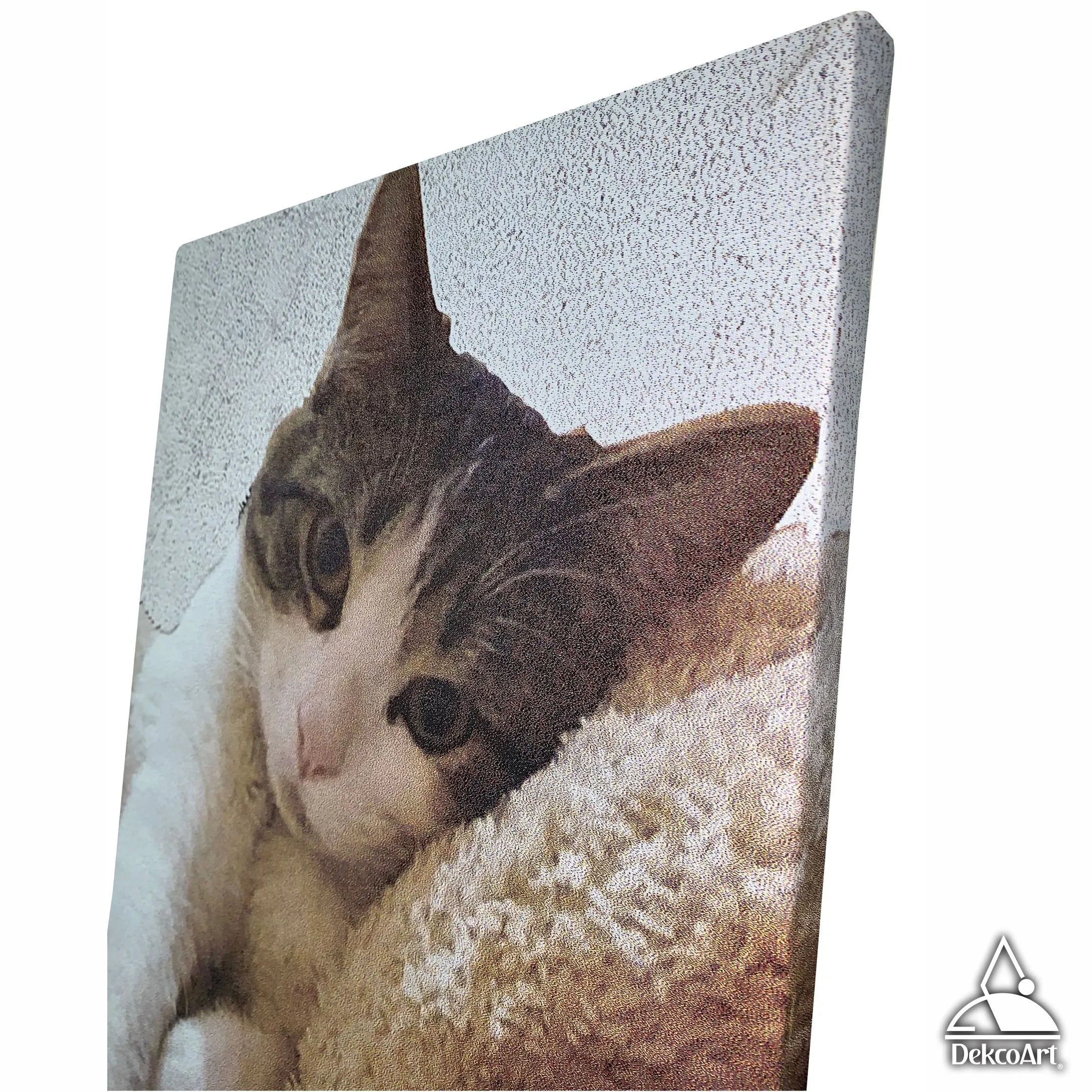 CUADRO PERSONALIZADO MASCOTA