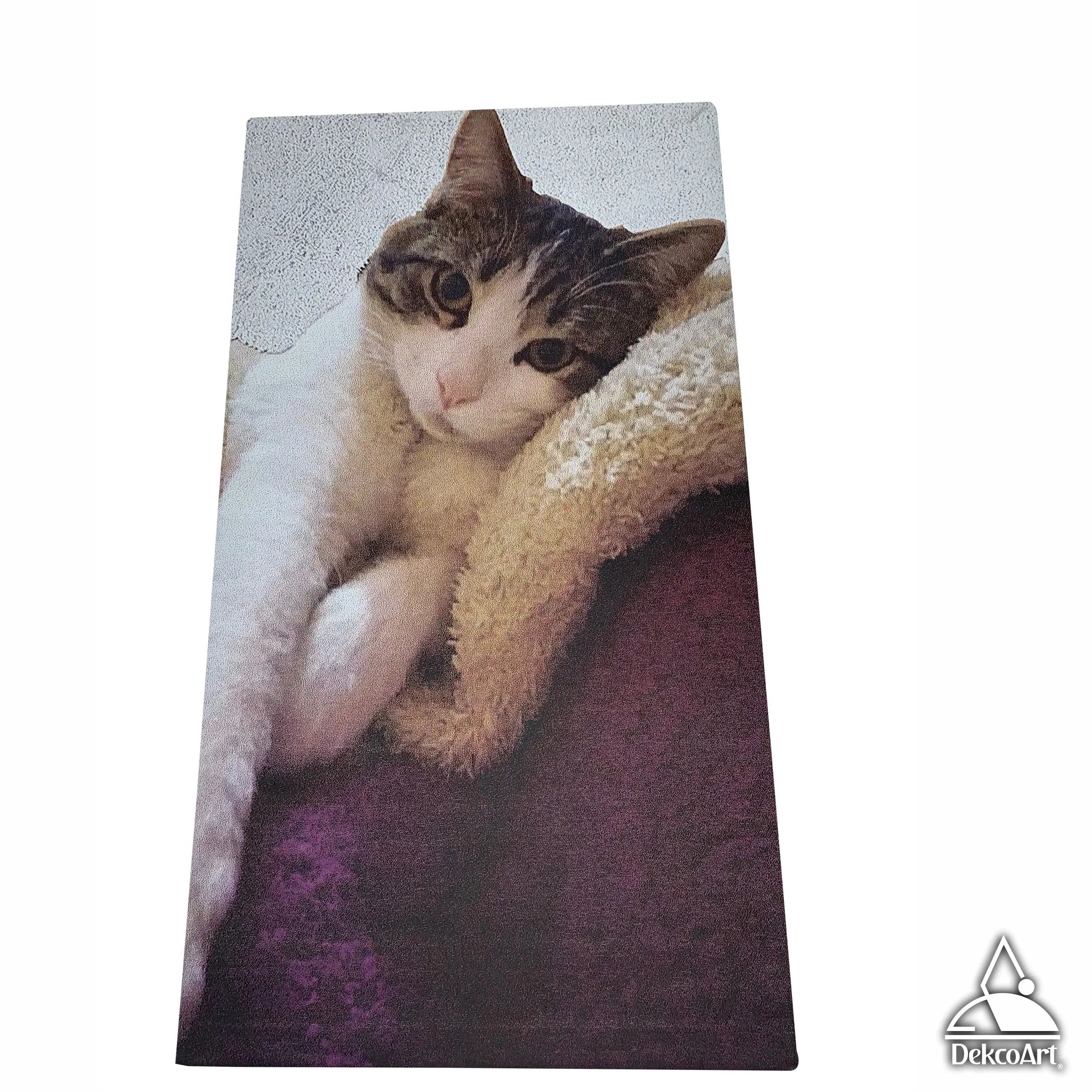 CUADRO PERSONALIZADO MASCOTA