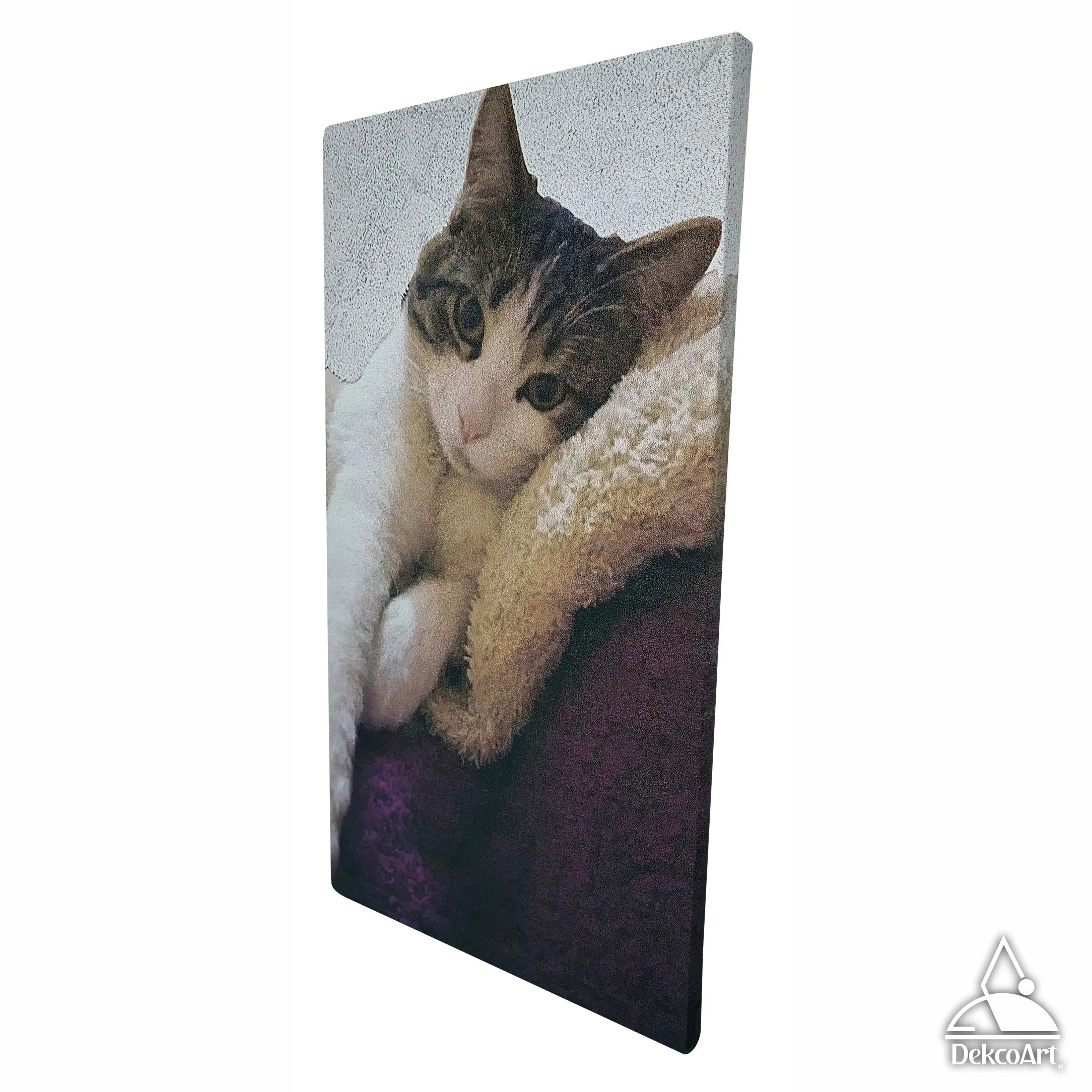 CUADRO PERSONALIZADO MASCOTA