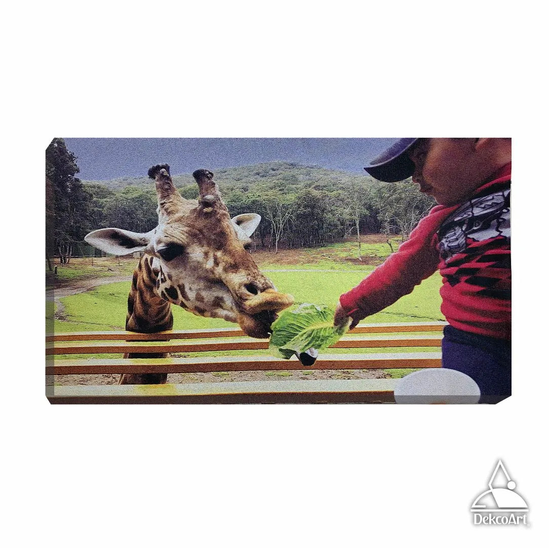 CUADRO PERSONALIZADO DE ANIMALES