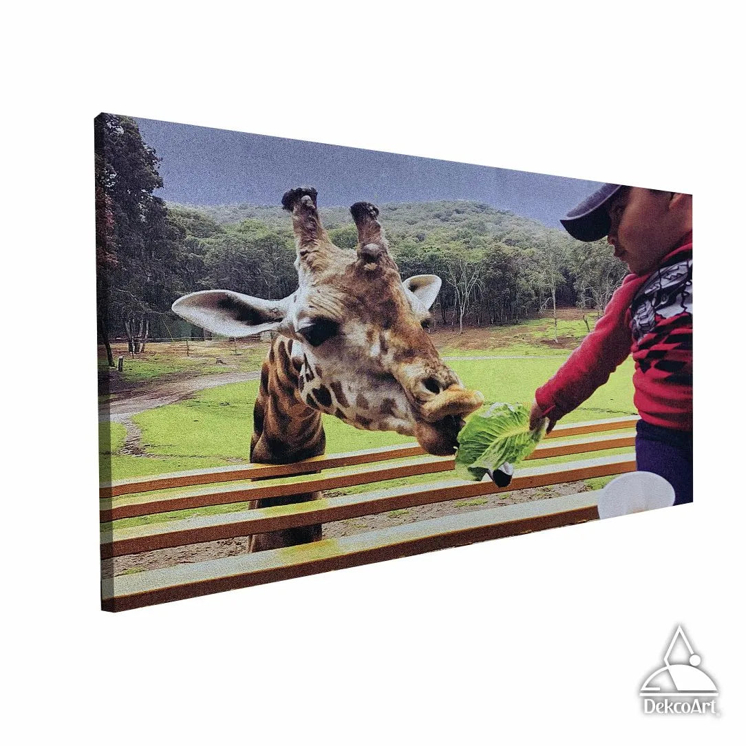 CUADRO PERSONALIZADO DE ANIMALES